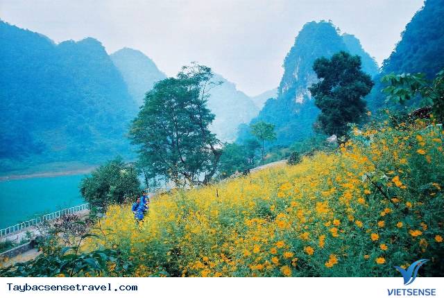 Hồ Thang Hen - Cao Bằng - Ảnh 4