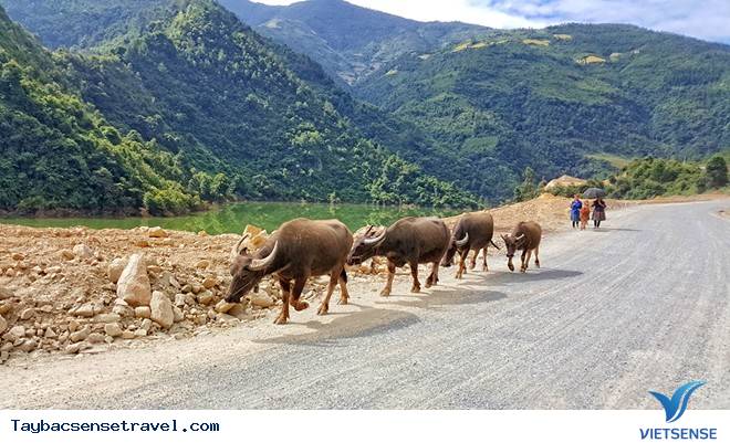 Khám Phá Tây Bắc Hùng Vĩ Qua Ống Kính Nhiếp Ảnh Gia - Ảnh 5