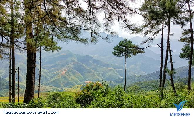 Khám Phá Tây Bắc Hùng Vĩ Qua Ống Kính Nhiếp Ảnh Gia - Ảnh 9