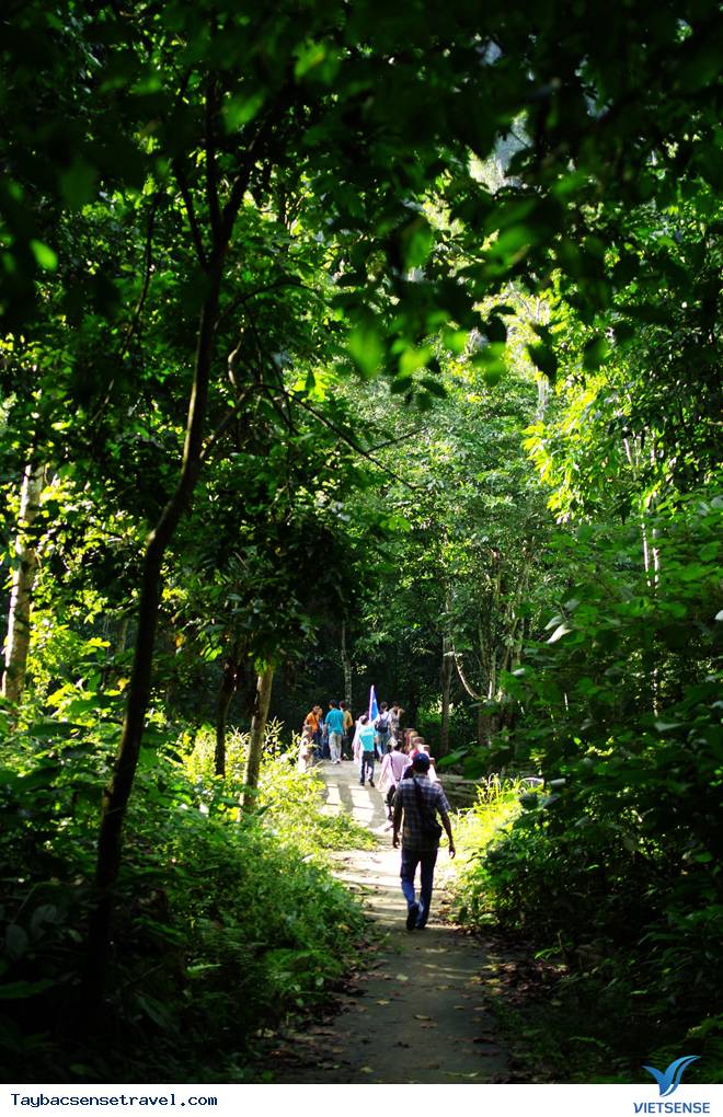 Khám Phá Thiên Nhiên Tây Bắc Tươi Đẹp Trên Các Nẻo Đường - Ảnh 8