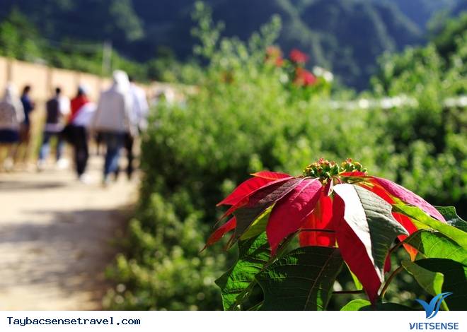 Khám Phá Thiên Nhiên Tây Bắc Tươi Đẹp Trên Các Nẻo Đường - Ảnh 6