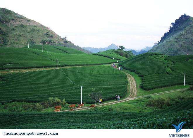 Khám Phá Thiên Nhiên Tây Bắc Tươi Đẹp Trên Các Nẻo Đường - Ảnh 4