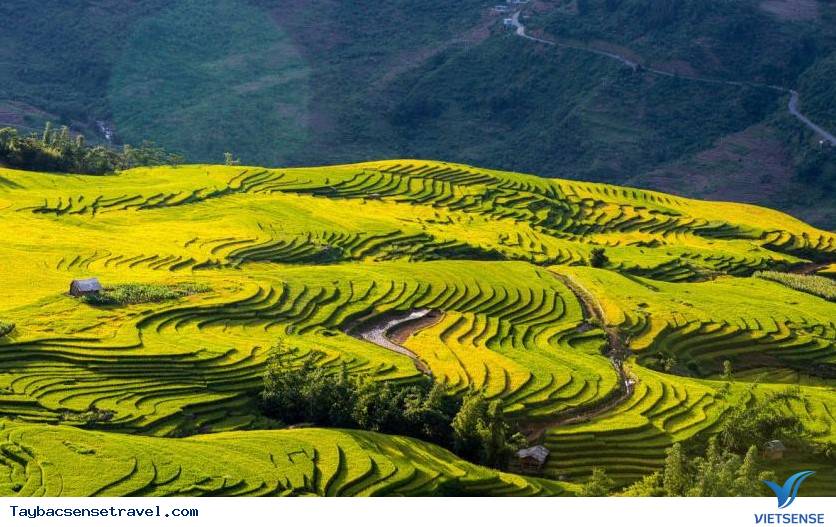 Khám phá Tú Lệ - Một nét thanh bình của vùng Tây Bắc - Ảnh 1 Khám phá Tú Lệ - Một nét thanh bình của vùng Tây Bắc - Ảnh 1