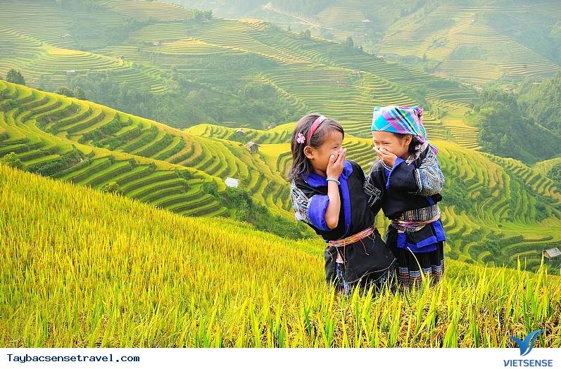 Khám phá Tú Lệ - Một nét thanh bình của vùng Tây Bắc - Ảnh 2 Khám phá Tú Lệ - Một nét thanh bình của vùng Tây Bắc - Ảnh 2