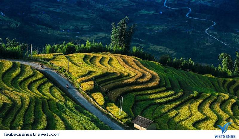 Khung cảnh đẹp nhất hành tinh mỗi năm 1 lần chỉ có ở Việt Nam - Ảnh 4