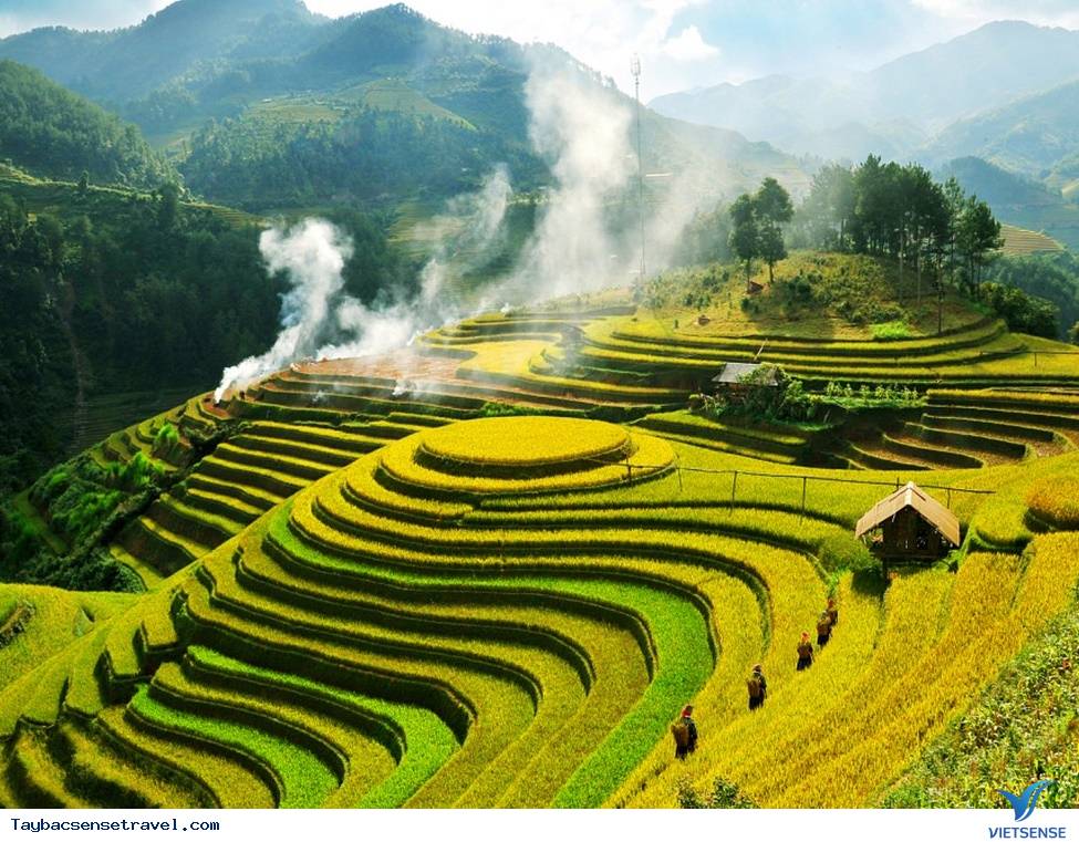 Khung cảnh đẹp nhất hành tinh mỗi năm 1 lần chỉ có ở Việt Nam - Ảnh 6