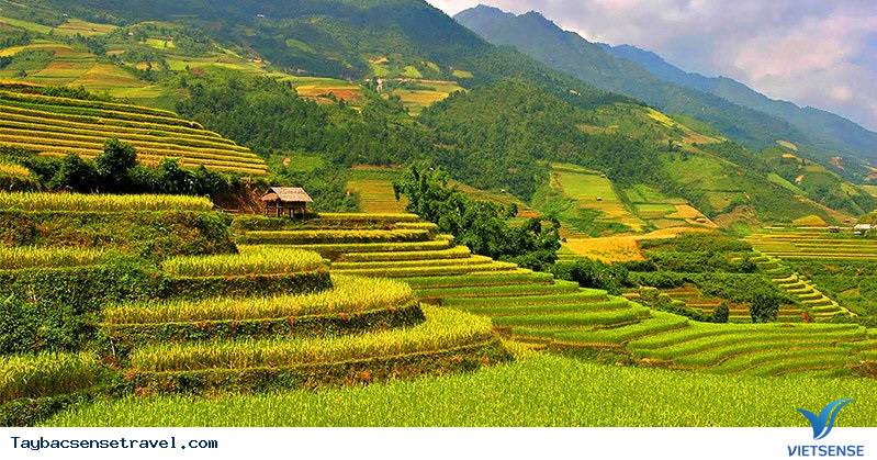 Khung cảnh đẹp nhất hành tinh mỗi năm 1 lần chỉ có ở Việt Nam - Ảnh 3