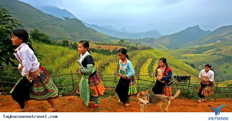 Khung cảnh đẹp nhất hành tinh mỗi năm 1 lần chỉ có ở Việt Nam - Ảnh 2