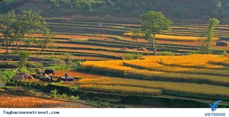 Khung cảnh đẹp nhất hành tinh mỗi năm 1 lần chỉ có ở Việt Nam - Ảnh 5