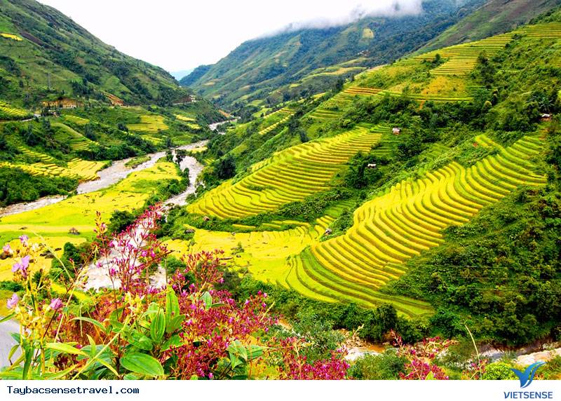 Kinh Nghiệm Du Lịch Tây Bắc Cùng Vietsense Travel - Ảnh 3 Kinh Nghiệm Du Lịch Tây Bắc Cùng Vietsense Travel - Ảnh 3