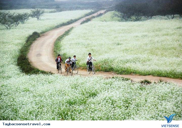 Kinh Nghiệm Du Lịch Tây Bắc Cùng Vietsense Travel - Ảnh 4 Kinh Nghiệm Du Lịch Tây Bắc Cùng Vietsense Travel - Ảnh 4