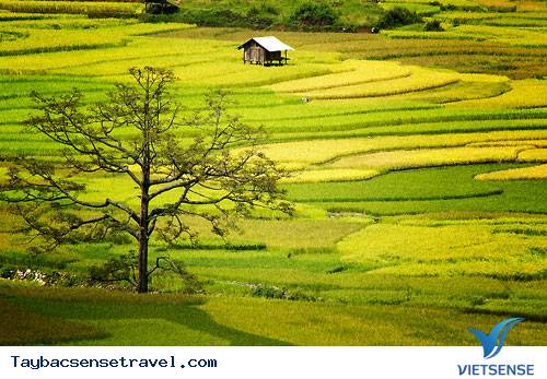 Kinh Nghiệm Du Lịch Tây Bắc Cùng Vietsense Travel - Ảnh 2 Kinh Nghiệm Du Lịch Tây Bắc Cùng Vietsense Travel - Ảnh 2