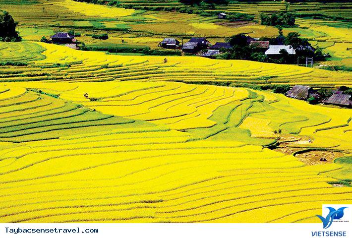 Du Lịch Tây bắc Thăm Cánh Đồng Mường than Rộng Lớn