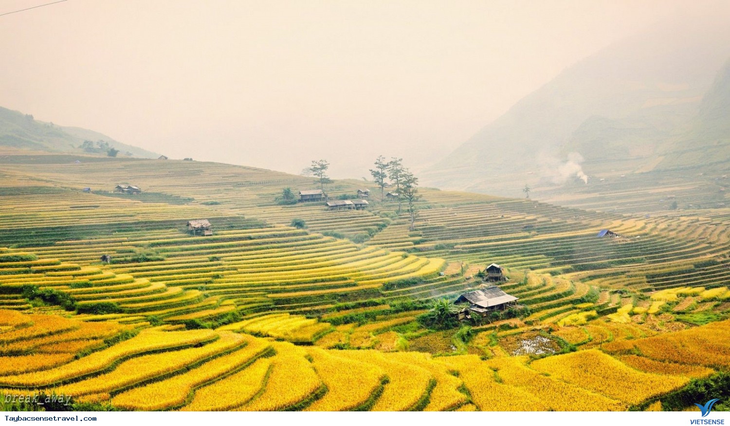 Lạc Cảnh Giữa Ruộng Bậc Thang Của Xứ Mù Căng Chải - Ảnh 4