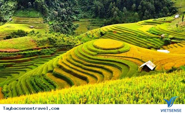 Lạc Cảnh Giữa Ruộng Bậc Thang Của Xứ Mù Căng Chải - Ảnh 2