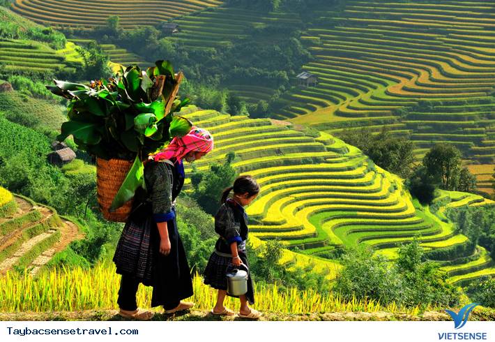 Lào Cai Một Trong Những Điểm Du Lịch Đẹp Nhất Thế Giới