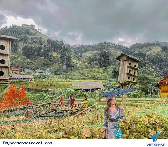 Lên Sapa Ghé Bản Cát Cát - Ngôi Làng Cổ Đẹp Nhất Tây Bắc - Ảnh 6 Lên Sapa Ghé Bản Cát Cát - Ngôi Làng Cổ Đẹp Nhất Tây Bắc - Ảnh 6