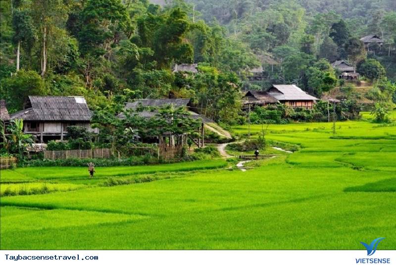 Giới thiệu chung về Vân Hồ - Ảnh 1 Giới thiệu chung về Vân Hồ - Ảnh 1