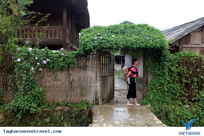 Lên Tây Bắc Khám Phá Vùng Đất Được Mệnh Danh Là Đà Lạt Thu Nhỏ - Ảnh 9