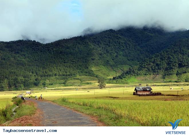 Lên Tây Bắc Khám Phá Vùng Đất Được Mệnh Danh Là Đà Lạt Thu Nhỏ - Ảnh 4