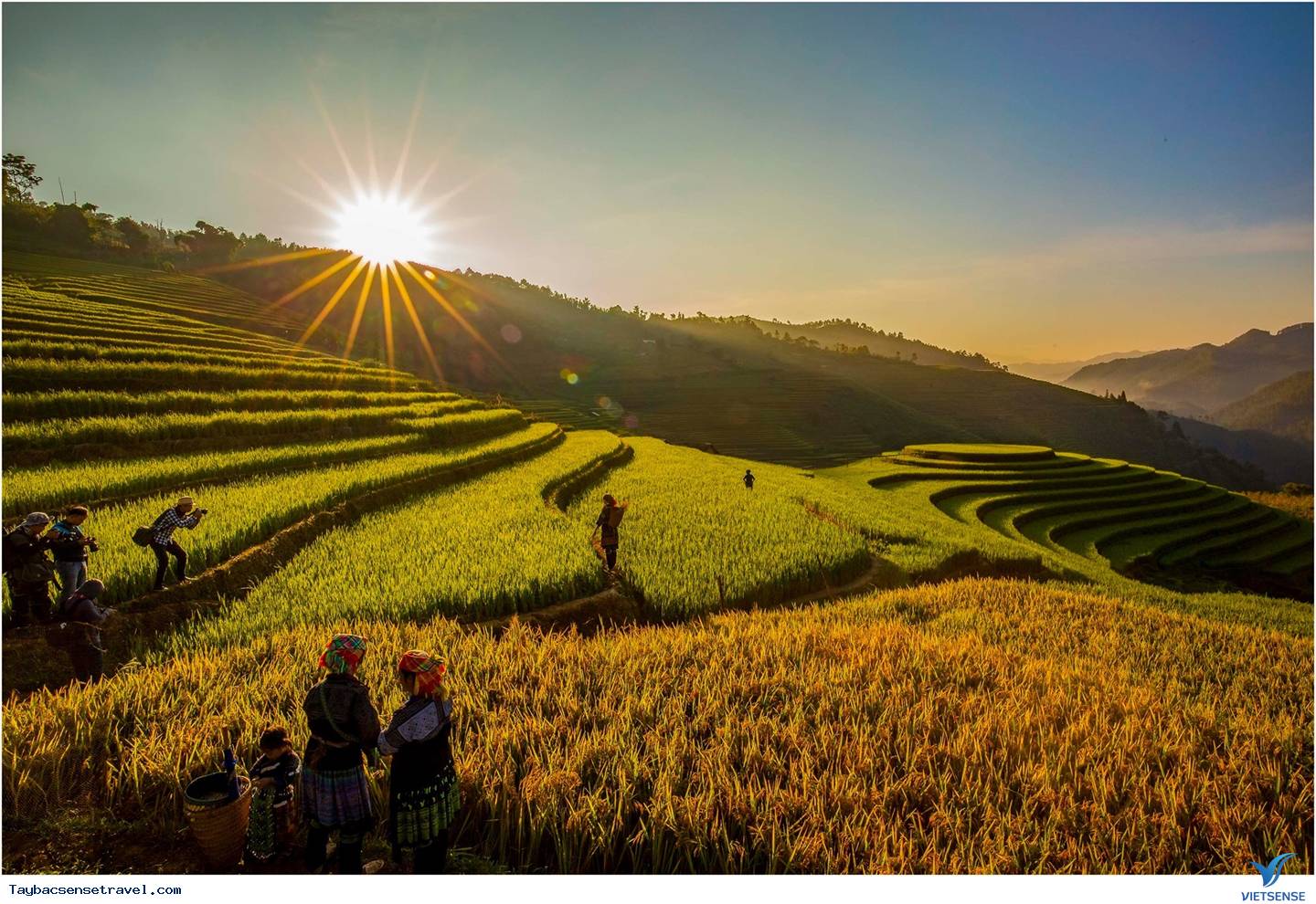 Săn mùa vàng săn mây và đón bình minh - Ảnh 1