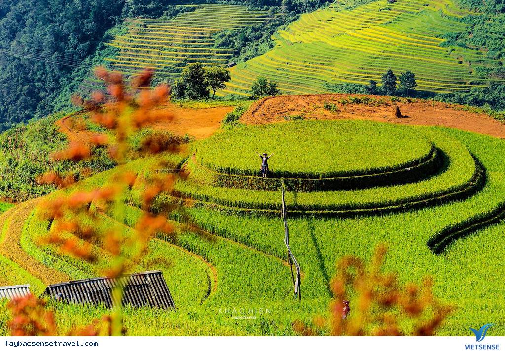 Săn mùa vàng săn mây và đón bình minh - Ảnh 3