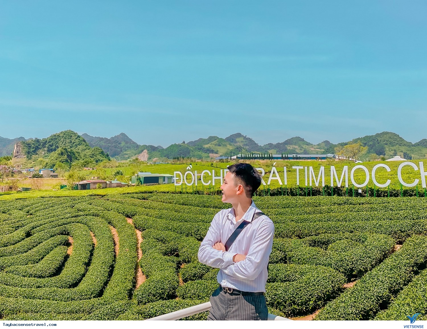 Mai Châu - Mộc Châu - Đồi chè Mộc Châu - Ảnh 1 Mai Châu - Mộc Châu - Đồi chè Mộc Châu - Ảnh 1