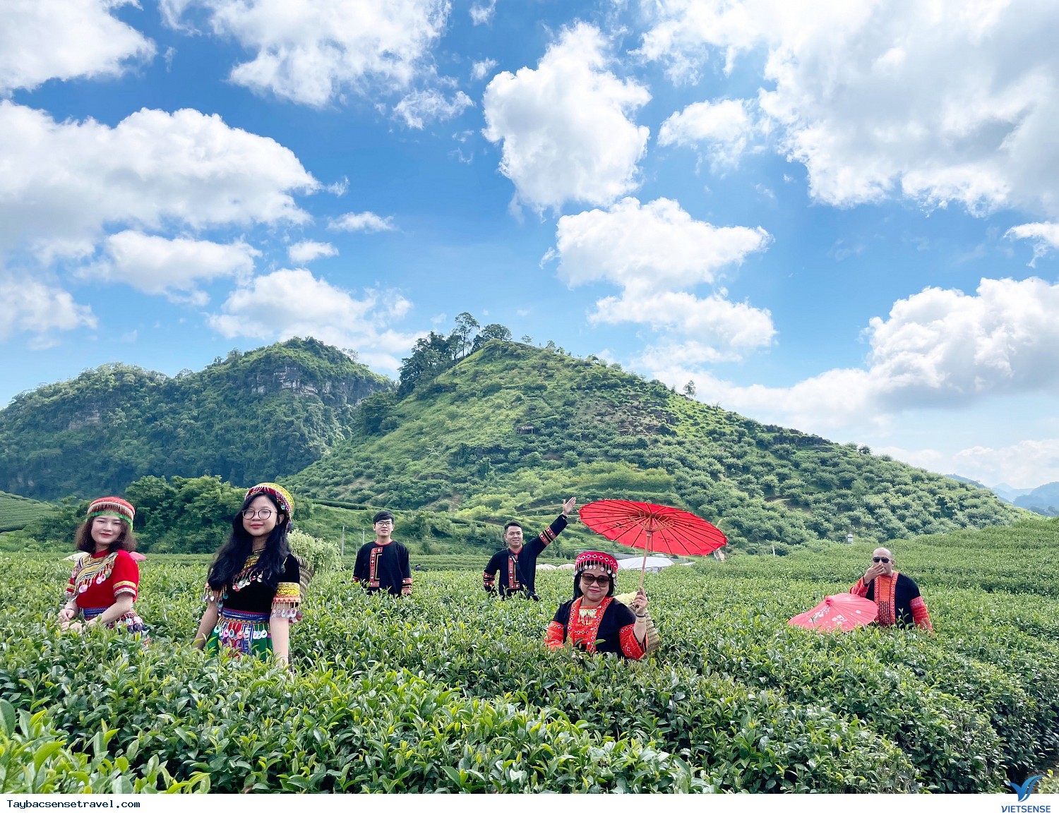 Mai Châu - Mộc Châu - Đồi chè Mộc Châu - Ảnh 2 Mai Châu - Mộc Châu - Đồi chè Mộc Châu - Ảnh 2