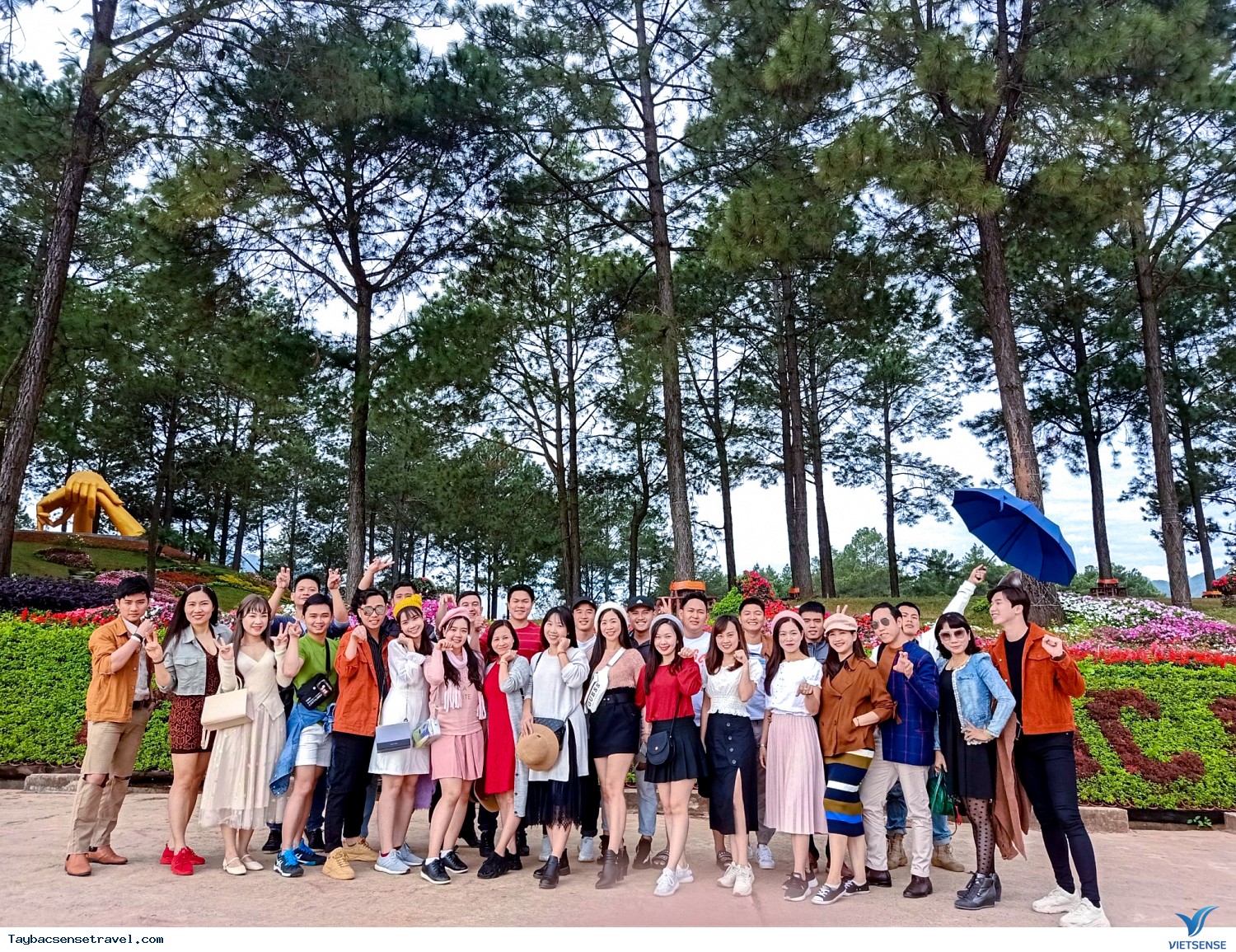 Mai Châu - Mộc Châu - Vườn hồng Mộc Châu - Rừng thông Bản Áng - Ảnh 2