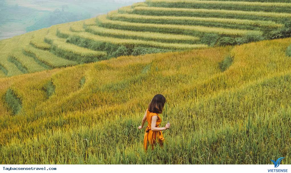 Mê Mẩn Một Sapa Trong Mùa Thu Vàng Tháng 9 - Ảnh 1 Mê Mẩn Một Sapa Trong Mùa Thu Vàng Tháng 9 - Ảnh 1