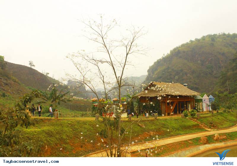 Mộc Châu - Sơn La - Ảnh 5