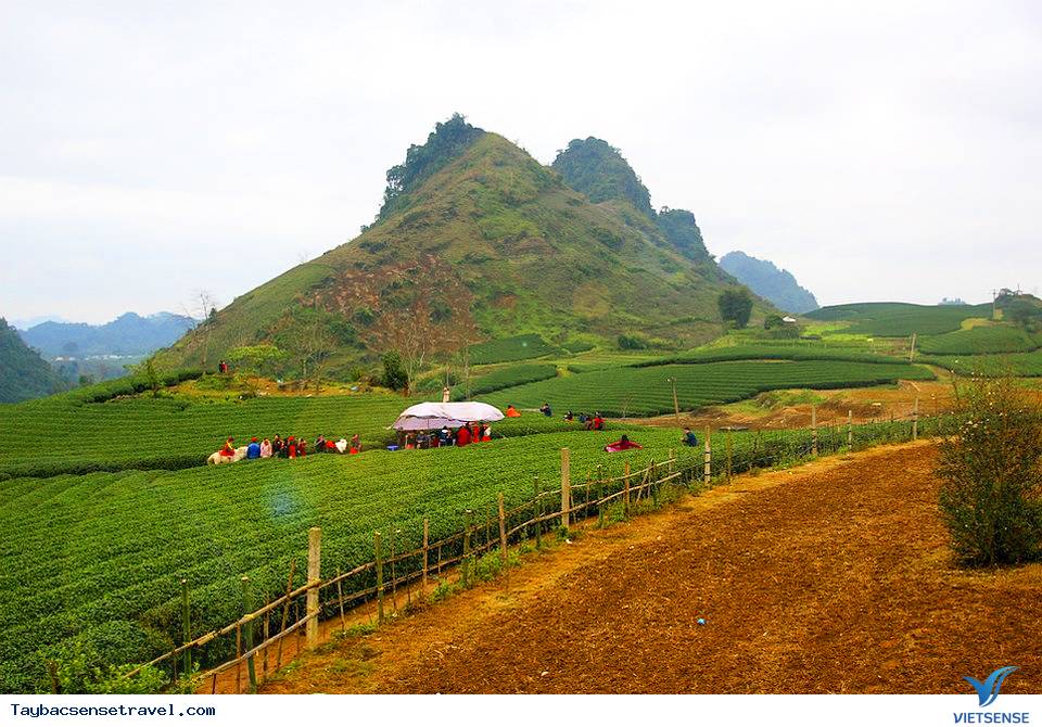 Mộc Châu - Sơn La - Ảnh 2