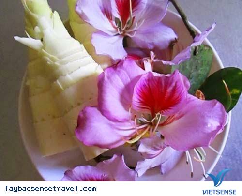 Món Ngon Tây Bắc - Măng Nộm Hoa Ban - Ảnh 1