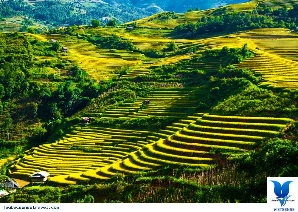 Mù Cang Chải Yên Bái Mù Cang Chải Yên Bái