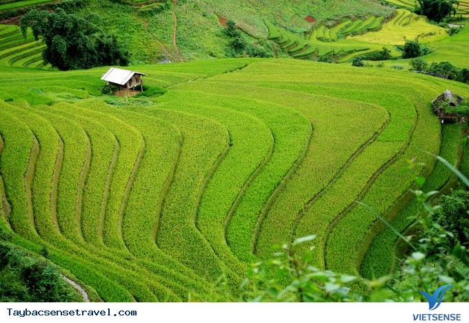 Mù Cang Chải Những Ngày Mùa Tháng 9 - Ảnh 6