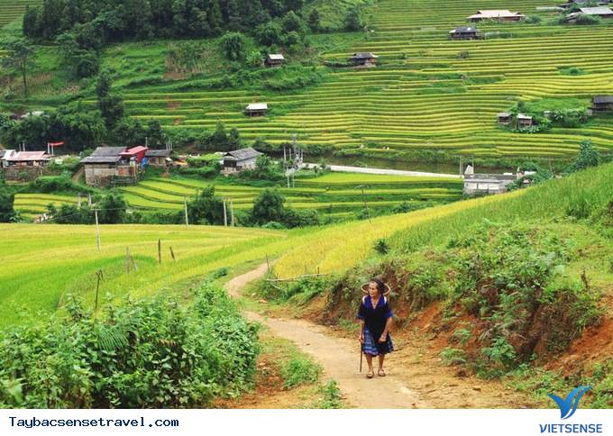 Mù Cang Chải Những Ngày Mùa Tháng 9 - Ảnh 5