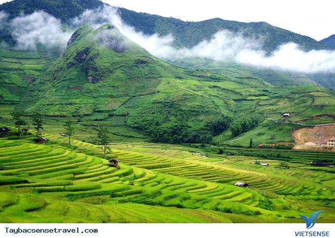 Mù Cang Chải Những Ngày Mùa Tháng 9 - Ảnh 3