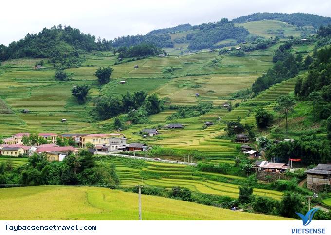 Mù Cang Chải Những Ngày Mùa Tháng 9 - Ảnh 9