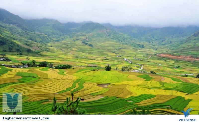 Ruộng bậc thang Lìm Mông Ruộng bậc thang Lìm Mông