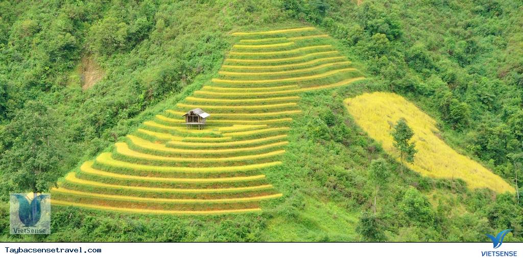 Ruộng bậc thang La Pán Tẩn Ruộng bậc thang La Pán Tẩn