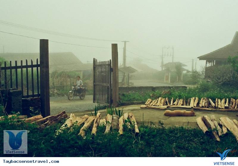 Suối Giàng Suối Giàng