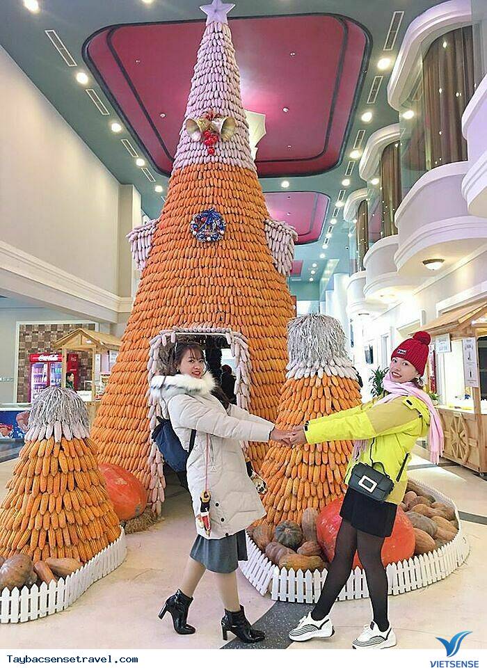 Mùa đông thú vị ở Sun World Fansipan Legend - Ảnh 6