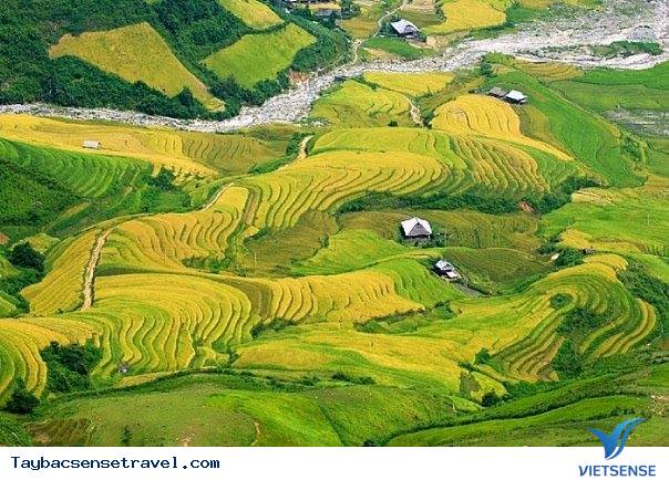 Mùa lúa chín vàng ở Mù Cang Chải - Ảnh 2 Mùa lúa chín vàng ở Mù Cang Chải - Ảnh 2