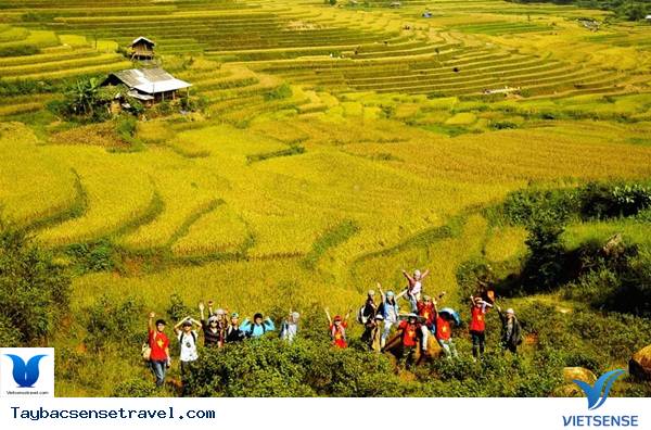 Nên đi thăm quan Mùa Cang Chải Vào Thời Điểm Nào? - Ảnh 3 Nên đi thăm quan Mùa Cang Chải Vào Thời Điểm Nào? - Ảnh 3