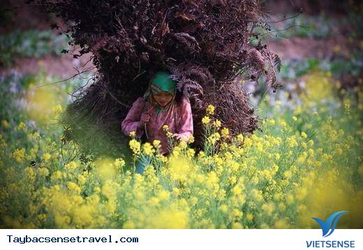 Ngẩn Ngơ Với Vẻ Đẹp Thiên Nhiên Và Con Người Miền Núi Phía Bắc - Ảnh 3