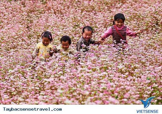 Ngẩn Ngơ Với Vẻ Đẹp Thiên Nhiên Và Con Người Miền Núi Phía Bắc - Ảnh 6