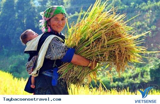 Ngẩn Ngơ Với Vẻ Đẹp Thiên Nhiên Và Con Người Miền Núi Phía Bắc - Ảnh 15