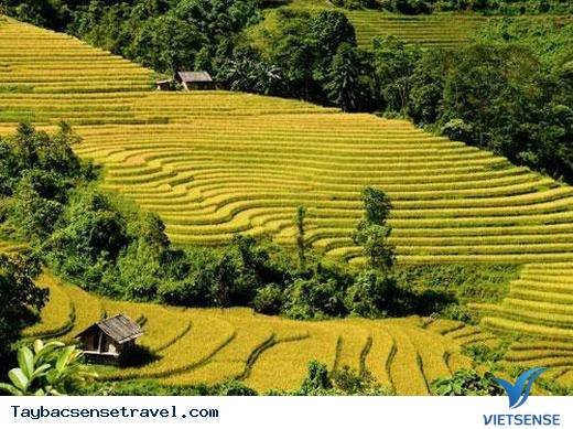 Ngẩn Ngơ Với Vẻ Đẹp Thiên Nhiên Và Con Người Miền Núi Phía Bắc - Ảnh 10