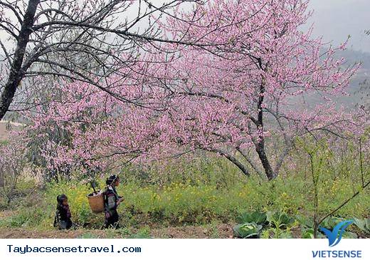 Ngẩn Ngơ Với Vẻ Đẹp Thiên Nhiên Và Con Người Miền Núi Phía Bắc - Ảnh 9