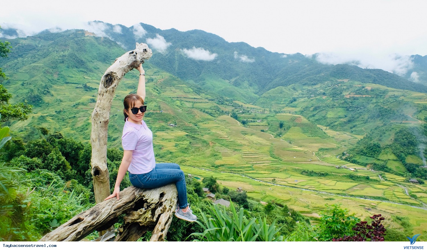 Ngỡ ngàng cung đường vàng đến Mù Cang Chải - Ảnh 8